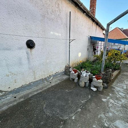Hotel Casa Lenu & Lian Sighișoara Zewnętrze zdjęcie
